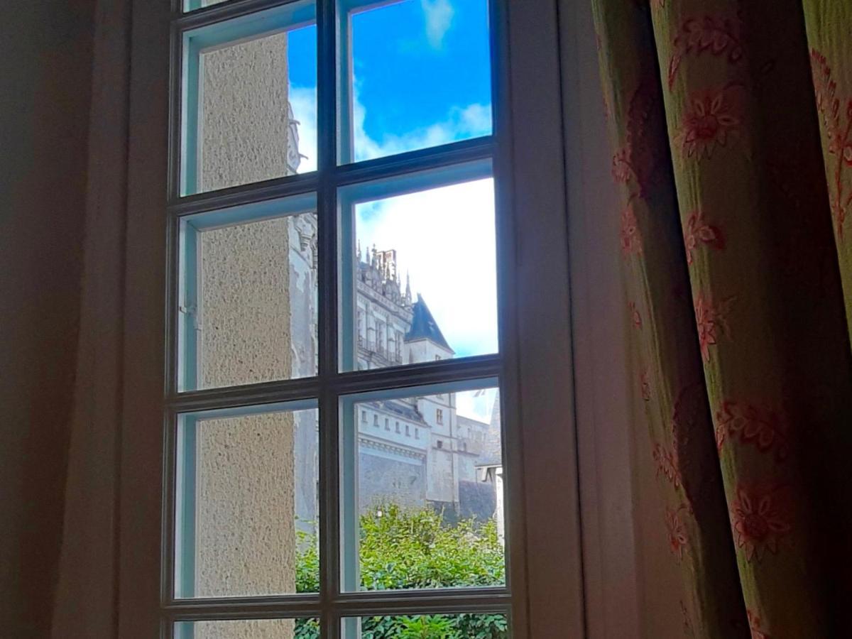 En Plein Coeur : Charmant Gite Centre Amboise Bagian luar foto
