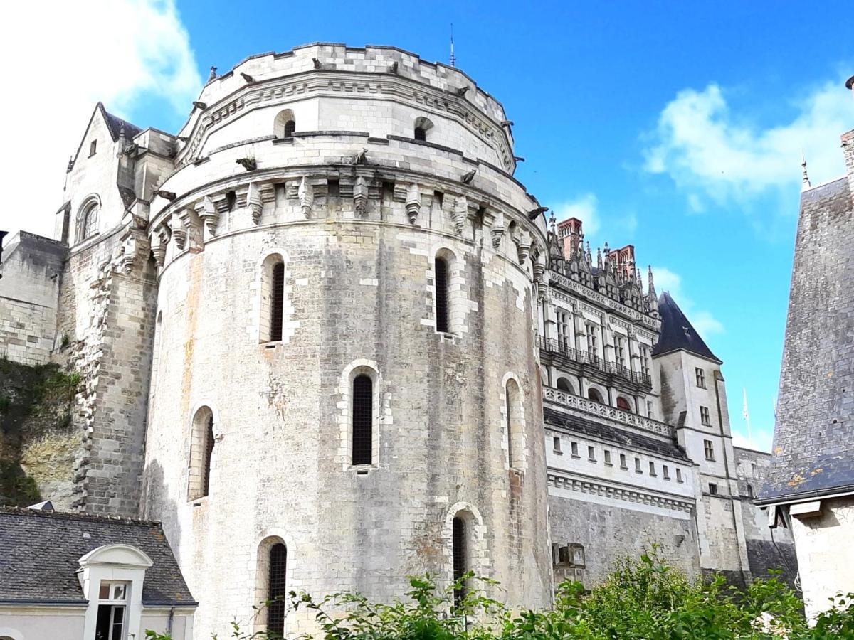 En Plein Coeur : Charmant Gite Centre Amboise Bagian luar foto