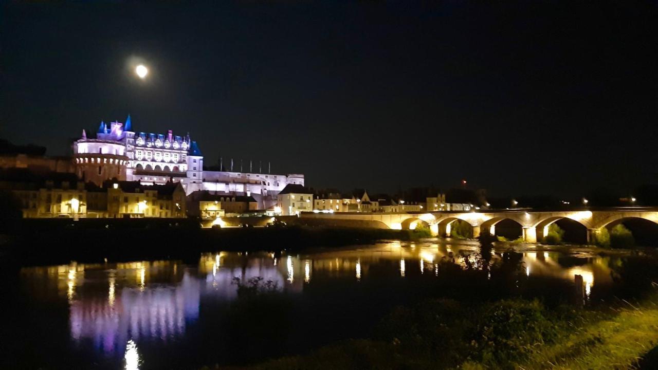 En Plein Coeur : Charmant Gite Centre Amboise Bagian luar foto